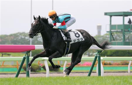 【２歳新馬】函館５Ｒ　ジゴロが５馬身差で完勝！