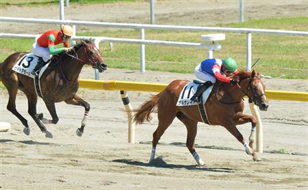【２歳新馬】新潟６Ｒ　サルサレイアが５馬身差の完勝