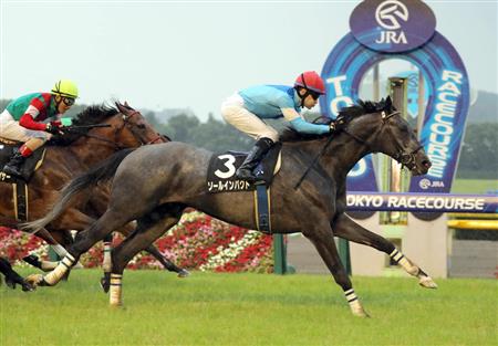【コーフィールドＣ＆メルボルンＣ】日本馬２頭が予備登録