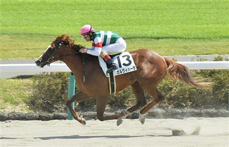 【２歳新馬】中山４Ｒ　人気のガルヴィハーラが５馬身差で完勝