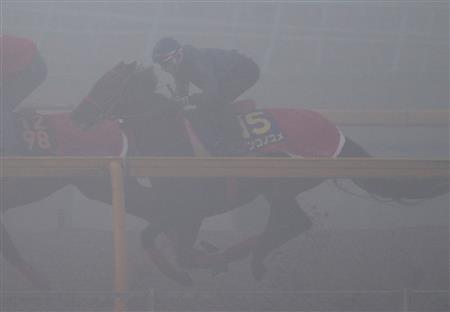 【チャンピオン】ノンコノユメ、濃霧の中で集中