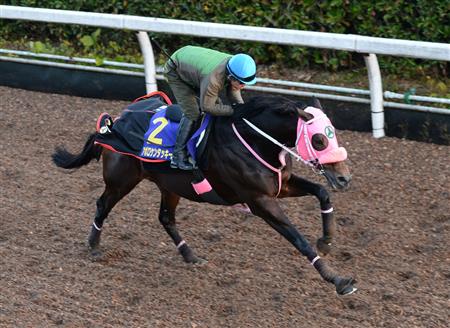 【チャンピオン】連闘アポロは坂路で馬なり５６秒３