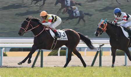 【３歳新馬】京都６Ｒ　外国産馬ユニコーンライオンがＶ　　