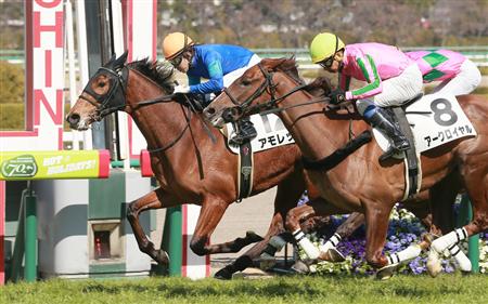 【３歳新馬】阪神６Ｒ　ディープ産駒アモレッタがゴール前抜け出す　