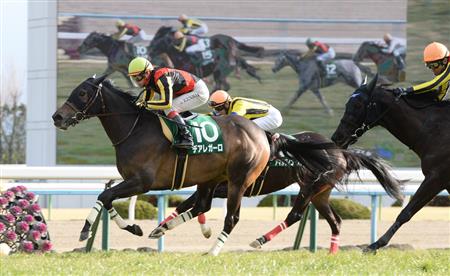 京都牝馬Ｓ優勝馬のデアレガーロは高松宮記念へ