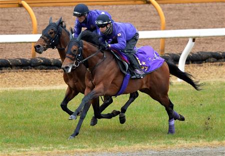 ワグネリアン＆マカヒキ、友道厩舎の日本ダービー馬が初競演