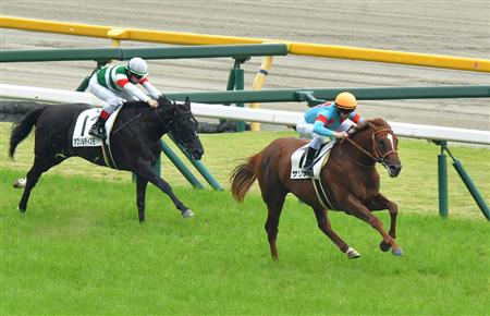 【２歳新馬】東京５Ｒ　サリオスがダービー馬の半弟破り初陣勝ち！