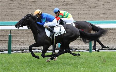 【２歳新馬】阪神５Ｒ　トリプルエース、最速上がりでＶ