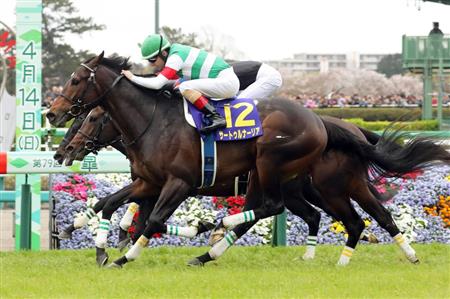 サートゥルナーリア、ルメール騎手で神戸新聞杯へ