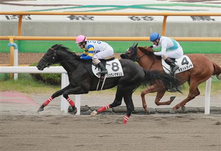 【２歳新馬】函館６Ｒ　リュウノゲキリンが押し切る