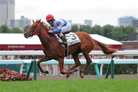 【２歳新馬】札幌５Ｒ　ショウリュウハルが鮮やか逃げ切り勝ち