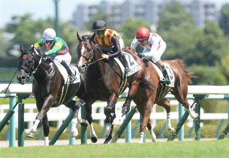 【２歳新馬】阪神５Ｒ　ディープ産駒の評判馬アルジャンナが圧勝！