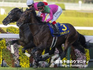 【大阪杯2024】競馬プロファイラー キムラヨウヘイの選ぶ3頭「重い斤量の実績がある馬が狙い目」