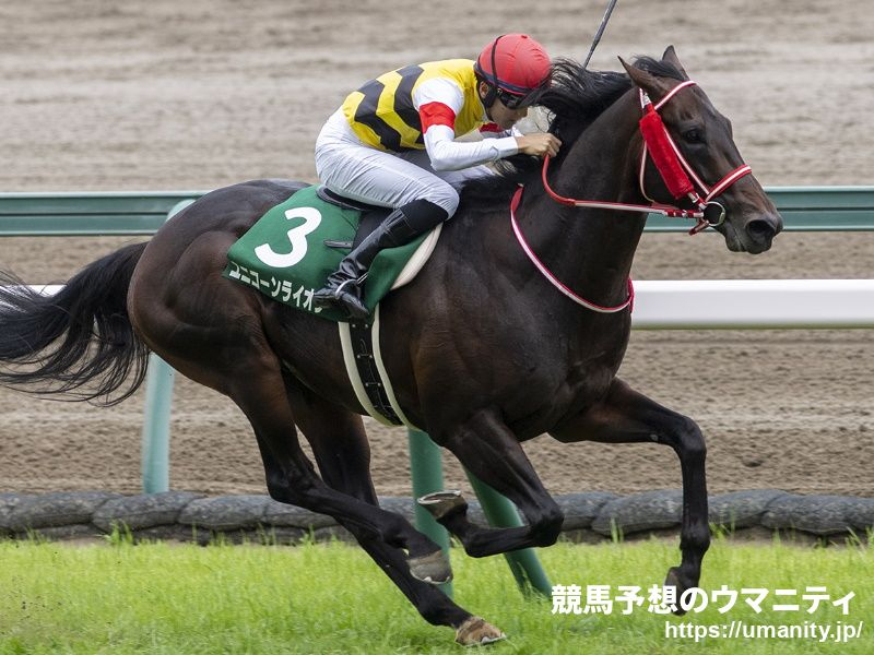【クイーンエリザベスＳ2023】日本馬の近況（4月6日（木曜））