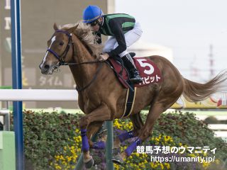 【京都大賞典2024】トッププロ厳選の穴馬!　京都外回りで再び! 流れ次第で一発の見込める1頭とは?