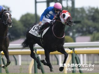 【Ｕ指数的分析の結論！】東京スポーツ杯２歳Ｓ2022　有力なのはU指数上位馬と前走新馬戦1番人気1着馬！