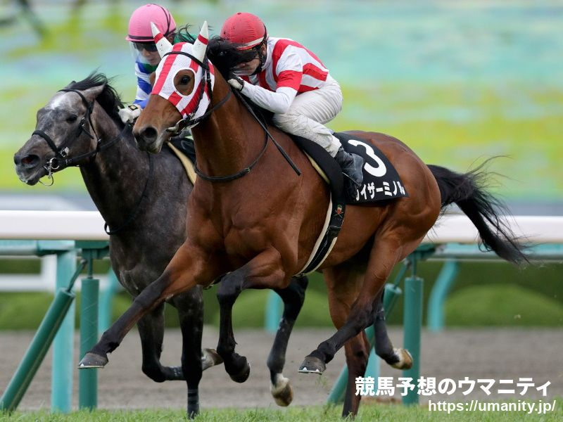 【ROBOTIPの勝率予測】京都金杯2022　ハンデ戦を象徴し9頭が馬券対象馬に。騎手重視の劉備の出した結論は!?