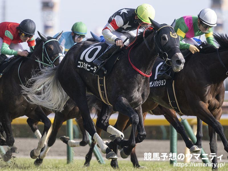 【のら～り勝ち馬予想の金言録】府中牝馬Ｓ2023「府中牝馬は近々芝1800で好走した馬」