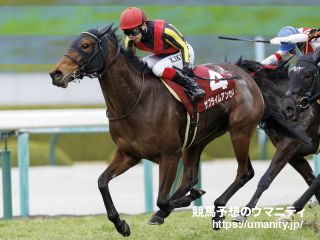 【血統アナリシス】京都牝馬Ｓ2023　Storm CatとMr. Prospectorを併せ持つ馬のスピードが優位に立つ