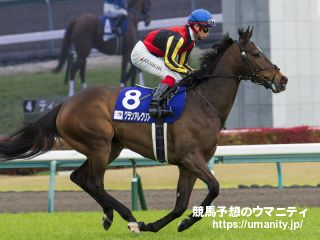 【血統アナリシス】大阪杯2021　スピードの持続力に長けたSeattle Slewの血脈を保持する馬が3連覇中