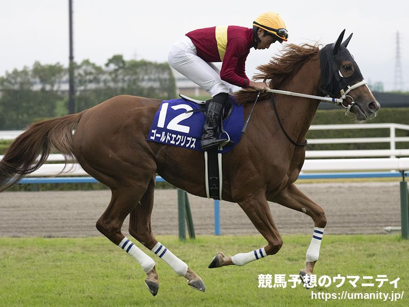 【小倉牝馬S2025】過去10年の重賞データ分析　5項目で減点なし4頭の中からゴールドエクリプスを最上位に