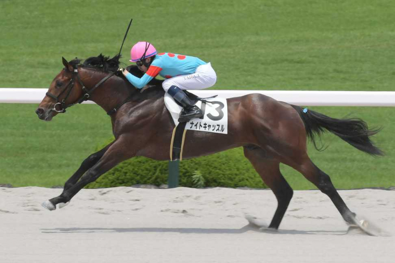 【Ｕ指数的分析の結論！】京都2歳S2022　外国人名手鞍上で前進が見込めるＵ指数トップ馬に注目！