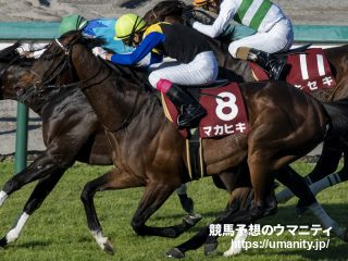 【馬場の有利不利、教えます！】札幌記念2022　内～中を回る馬が優位！道中外、直線も外の待機勢には厳しいコンディション！