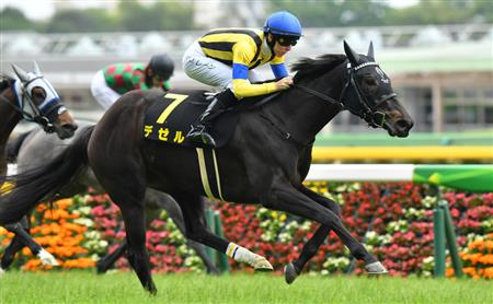 【Ｕ指数的分析の結論！】阪神牝馬ステークス2021　人気の4歳馬が中心もU指数的には明暗が分かれた格好に！
