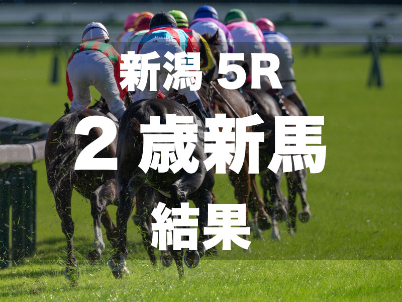 【新潟5R・2歳新馬】ヴィンセンシオが断然の1番人気に応える　祖母は名牝シーザリオ　