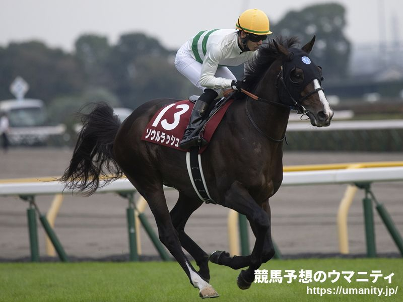 【香港国際競走2023】日本馬の近況（12月7日（木曜））
