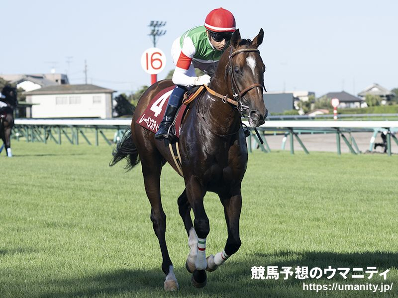 【香港国際競走2023】日本馬の近況（12月6日（水曜））