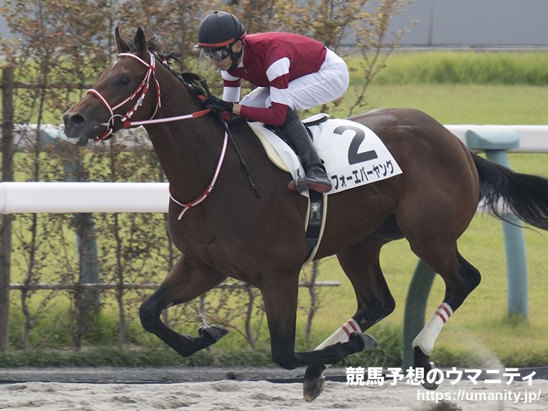 【大井・ジャパンダートクラシック2024】選定馬（9/24）