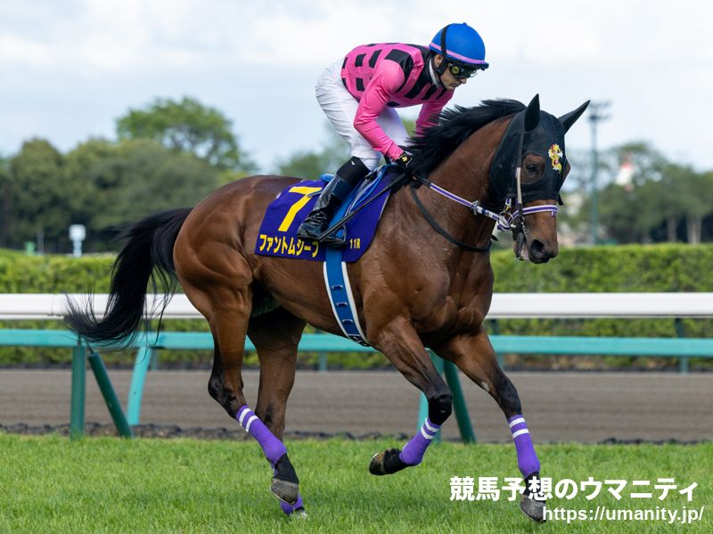 【ROBOTIPの勝率予測】神戸新聞杯2023　競走馬能力予測はファントムシーフが軸候補！連勝中のあの上がり馬も高評価