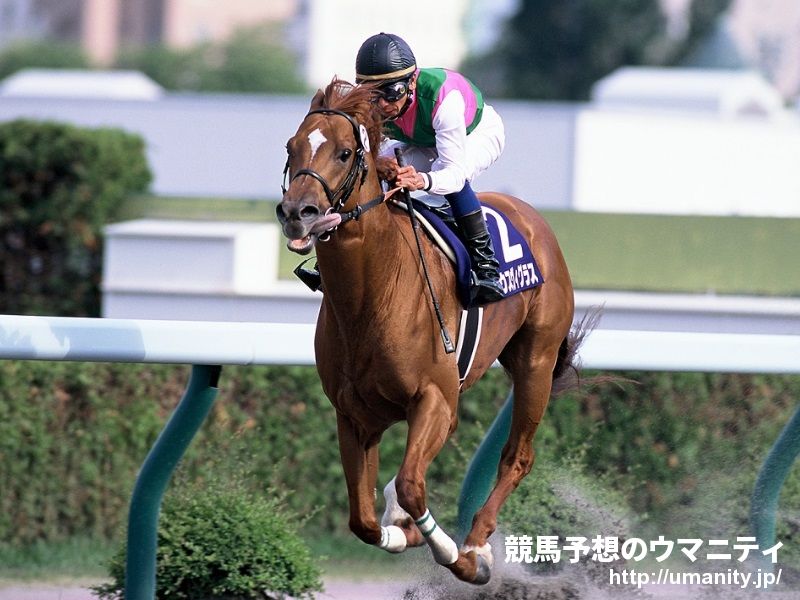 【今日の注目新馬】ナムラバンチーはキビキビと好仕上がり／東京４Ｒ