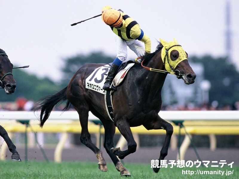 【３歳新馬】中京４Ｒ　能力高いリノユニヴァースが新馬勝ち