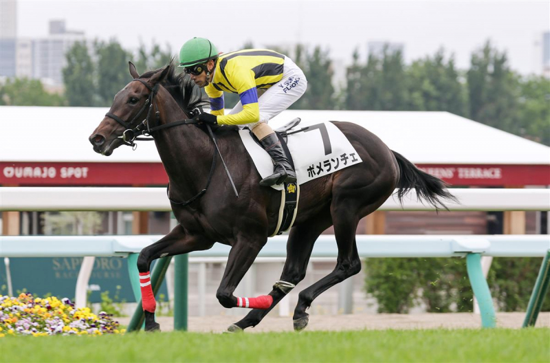 【Ｕ指数的分析の結論！】函館2歳ステークス2021　キャリアの浅い馬が多く指数泣かせだが1着馬候補は絞れる！