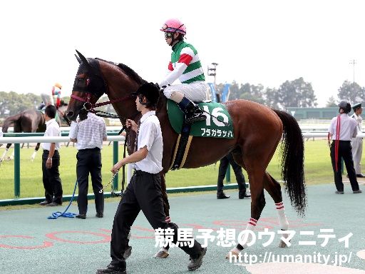 ２３日美浦で７頭の２歳馬がゲート合格