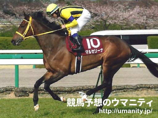 母は桜花賞馬マルセリーナ　シュタールヴィントが１５日東京でデビュー