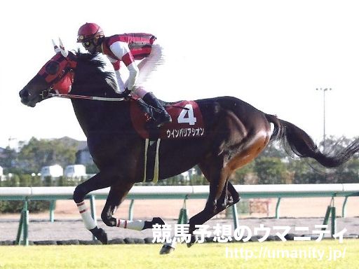 【３歳新馬】中京４Ｒ　バリコノユメがハナ差勝利