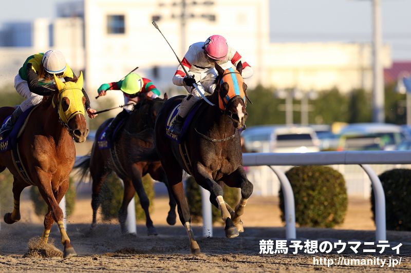 【２歳新馬】東京４Ｒ　シーオブドリームス突き抜けて圧勝