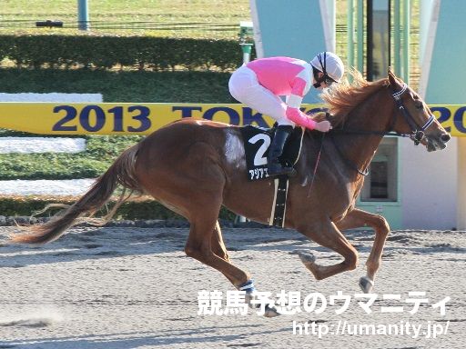 １９日栗東でアジアエクスプレスの半妹など１７頭の２歳馬がゲート合格
