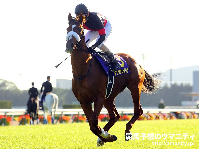 ８日美浦で１６頭の２歳馬がゲート合格