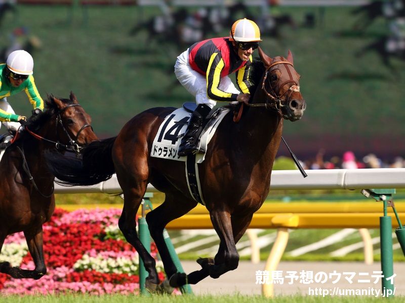 【東京５Ｒ・新馬】ドゥラメンテ産駒レインフロムヘヴン２番手からＶ
