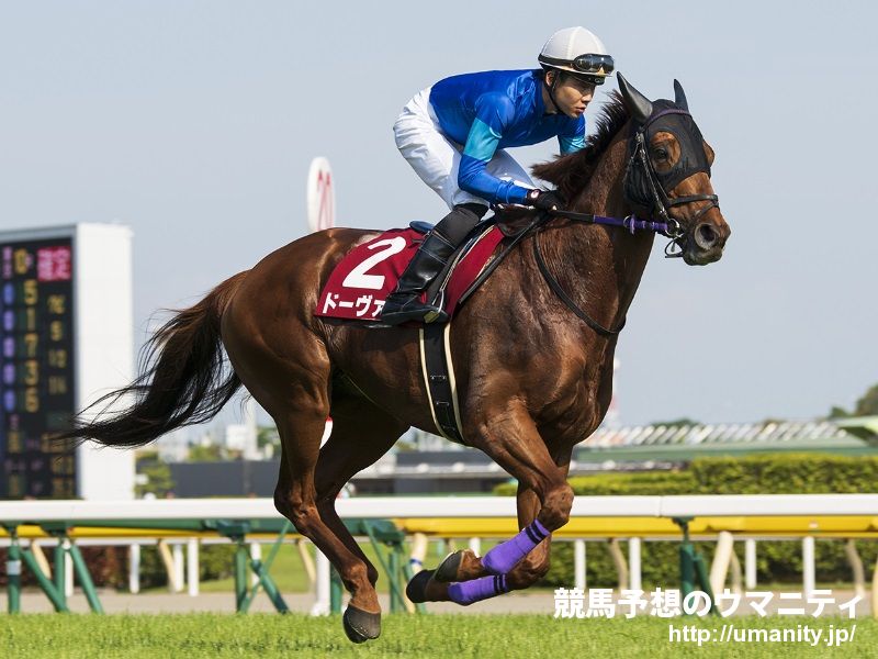 【Ｕ指数的考察】京都金杯2020　内～中枠の指数上位馬が有力！5歳以上の低指数馬は苦戦傾向！