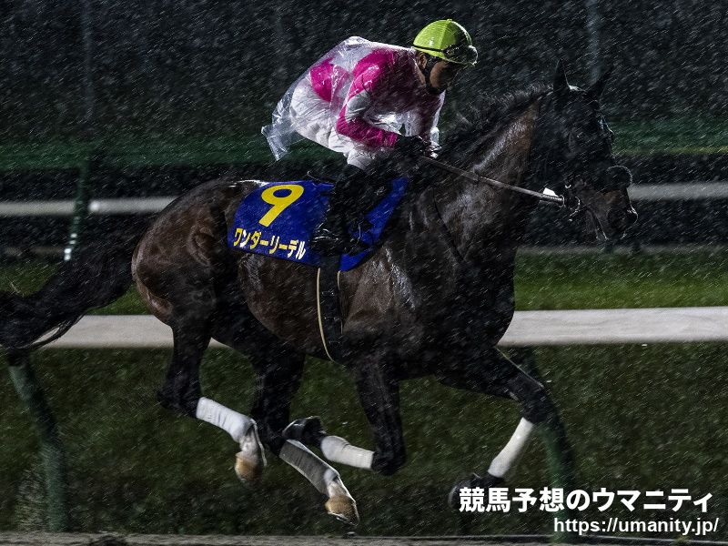 【武蔵野ステークス2021予想】タガノビューティー「鞍上もこの馬を分かっている」 ソリストサンダー「東京マイルはいい」