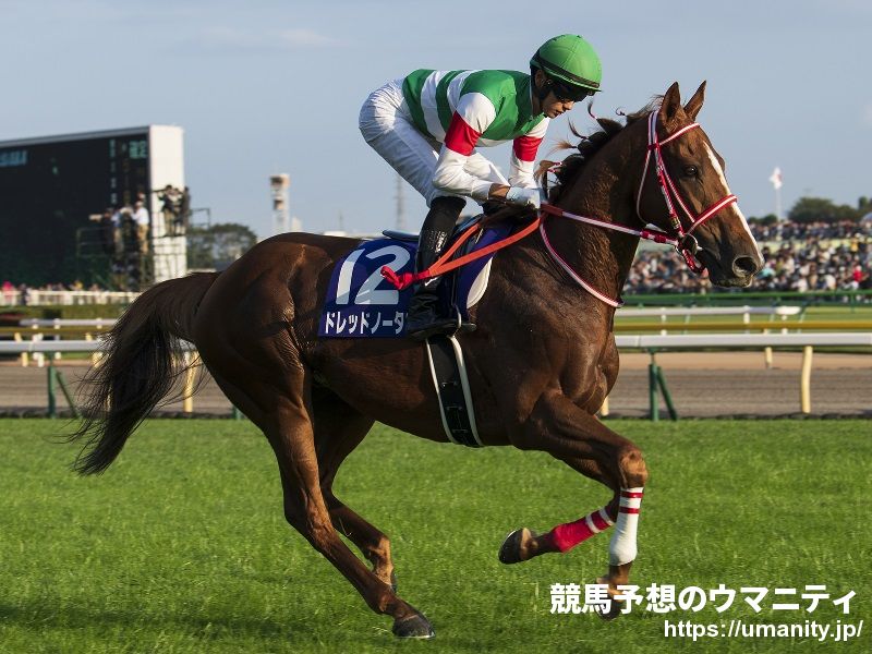 ７月１５、２０、２１日函館競馬場でコスモプラチナの娘など１３頭の２歳馬がゲート合格