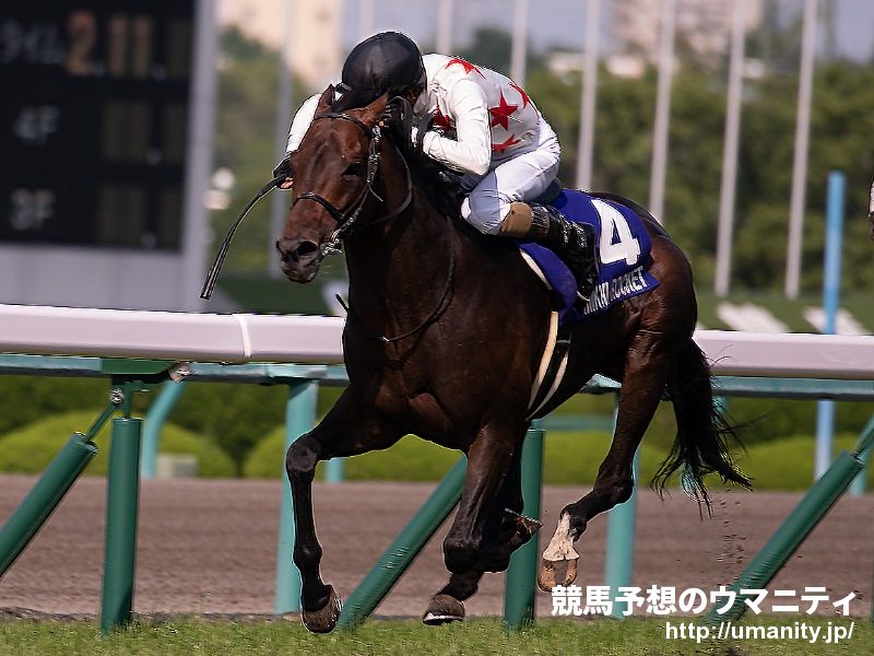 １３日美浦で１２頭の２歳馬がゲート合格
