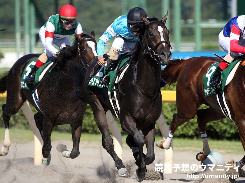 【メインレース・データ分析（特別編）】ラジオ日本賞　順調に使われている馬を評価すべき一戦！今春以降の成績も要チェック！