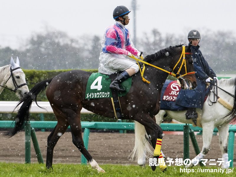 【阪神牝馬ステークス2021予想】マジックキャッスル「マイルでもいい走りができるはず」 デゼル「体重が増えているがこれくらいで良い」