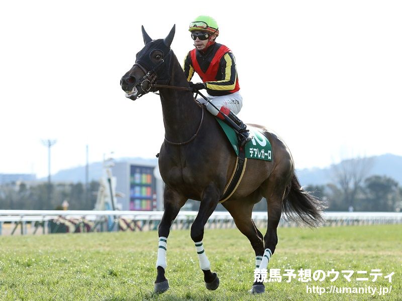 【今日の注目新馬】阪神５Ｒ　スーパーファルクスは兄姉４頭がオープン馬